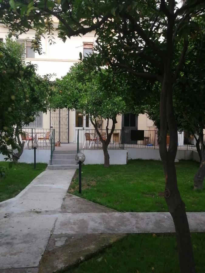 Soleo *